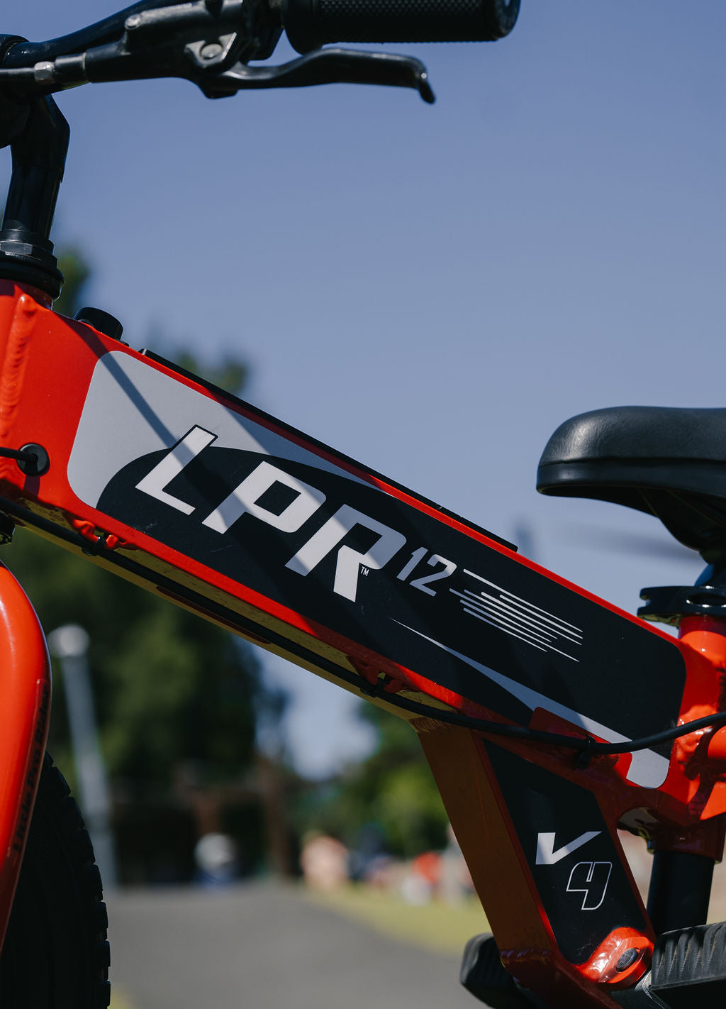 LPR 12" DECAL SET