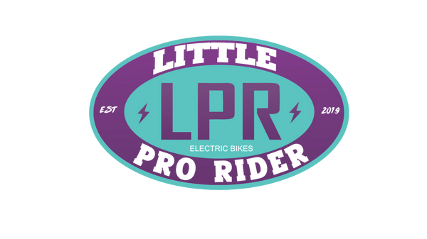 Little Pro Rider Electric Bikes