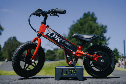 LPR 12" Bike Stand