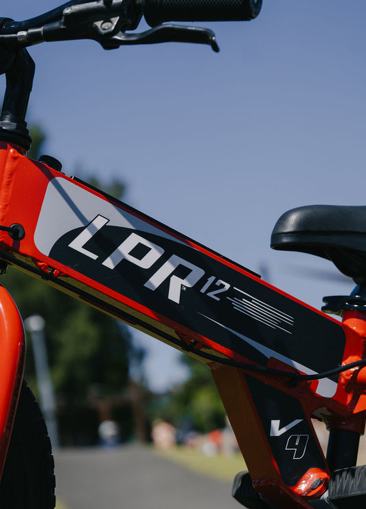 LPR 12" DECAL SET