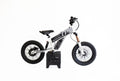 LPR 16" Sticker Kit