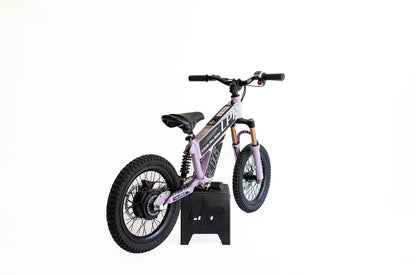 Electric LPR16™ V4
