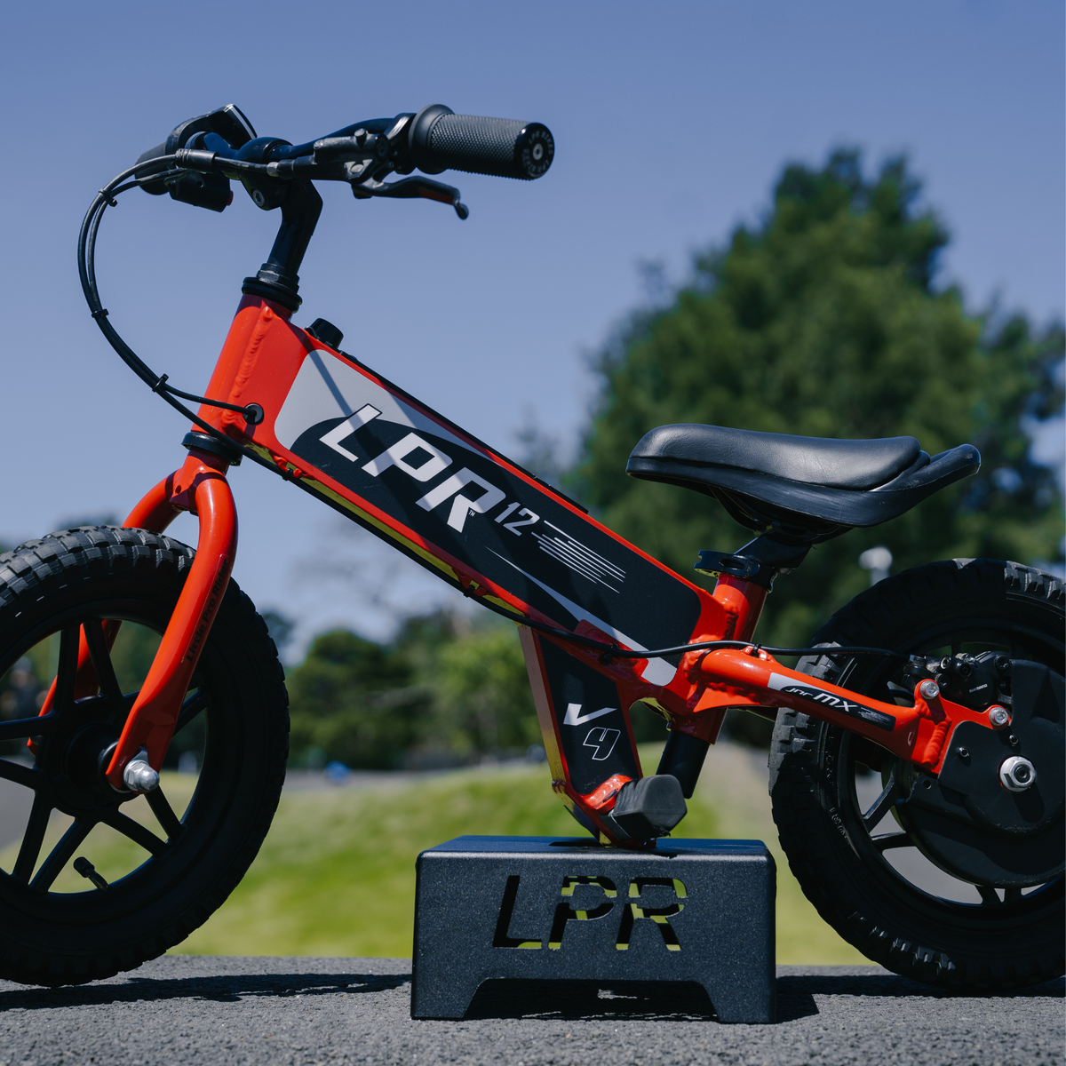 Electric LPR12™ V4 -Christmas LayBuy